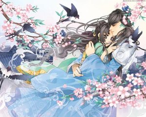 含羞草试验所登入入口